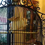 The King\'S Quarters