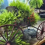 Homestead Motel
