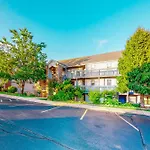 Lofty Retreat & Paradise Pointe