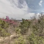2Br Village At Indian Point 2007 Near Sdc - Free Tickets Daily Up To $500