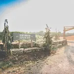 Cozy Unique Glamping On 53 Acres - Bedrock Site