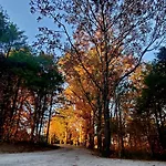 Cozy Unique Glamping On 53 Acres - Bedrock Site