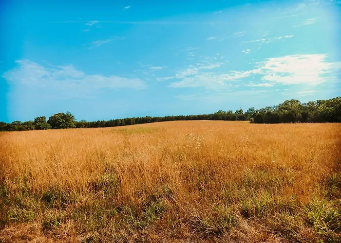 Cozy Unique Glamping On 53 Acres - Bedrock Site