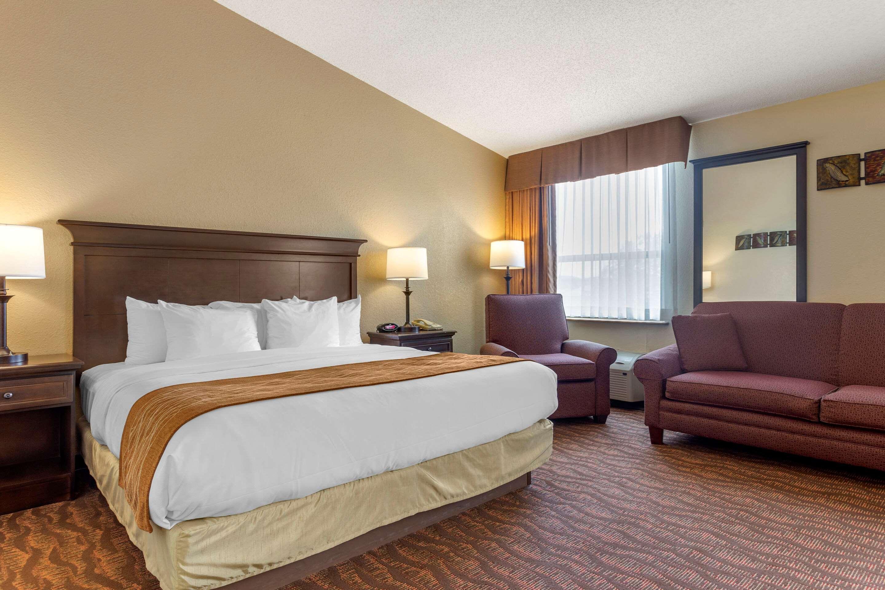 Comfort At Thousand Hills