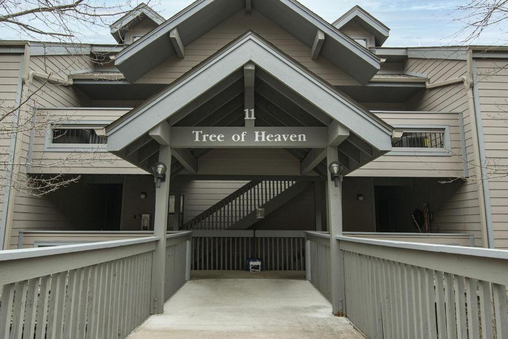 Holiday home Tree Of Heaven -- 1101 *