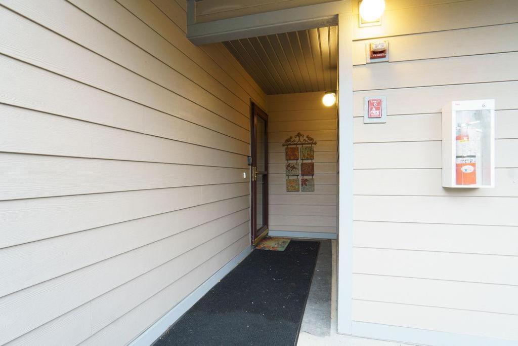 Scotch Pine With Loft -- 1310