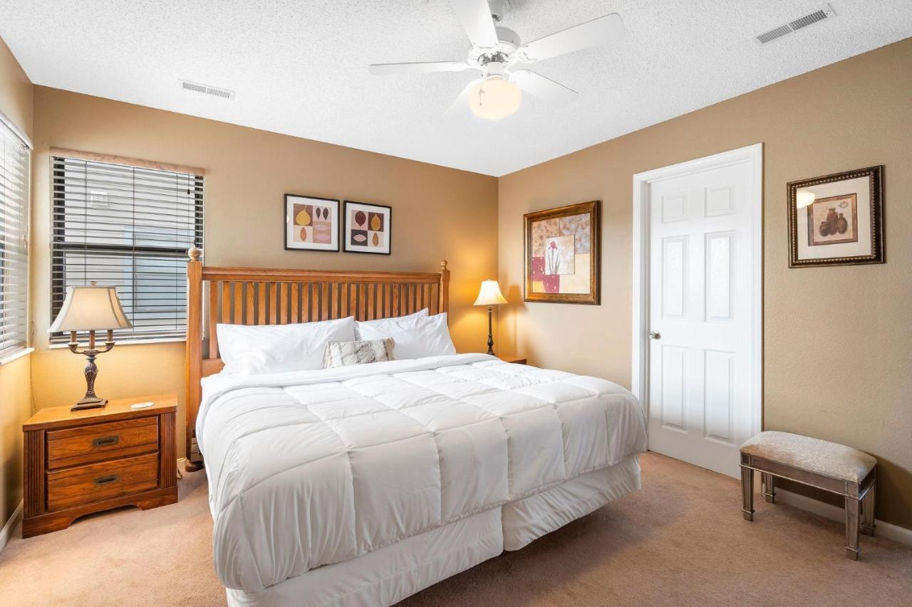 Scotch Pine--1309 Branson