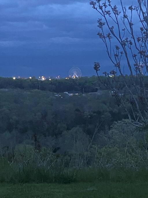 Spruce Valley Branson