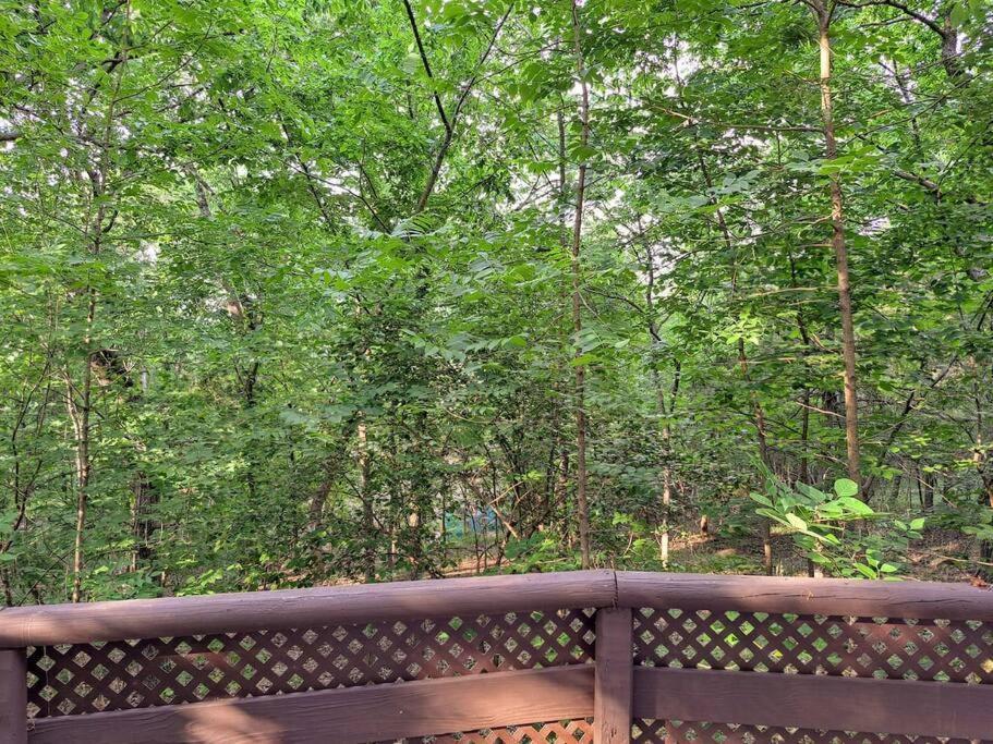 Villa Tribesman Luxury #9 On Table Rock Near Silver Dollar City,