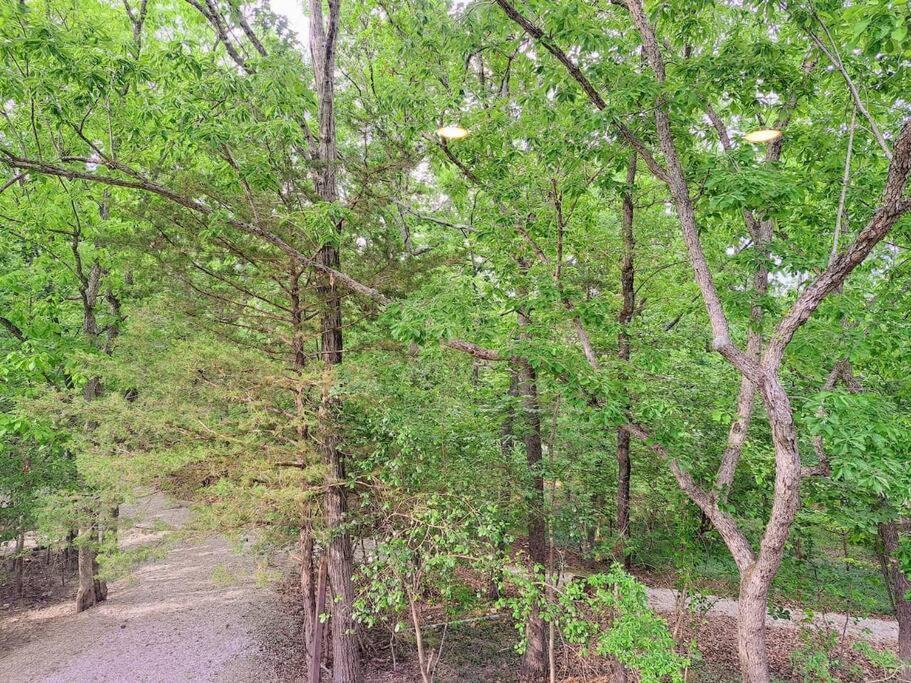 Villa Timber Point # 10 Sonja'S Serenity Branson