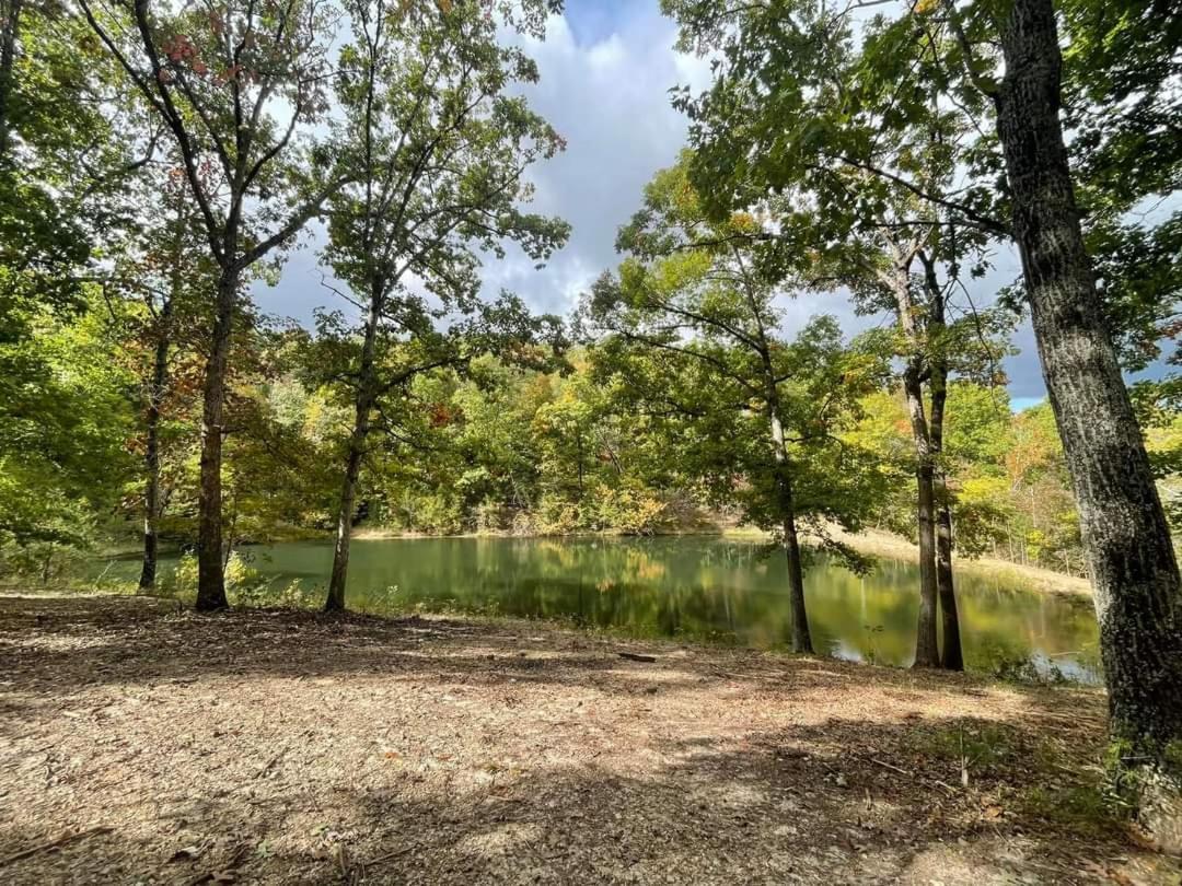 Secluded Treehouse In The Woods - Tree Hugger Hideaway Branson