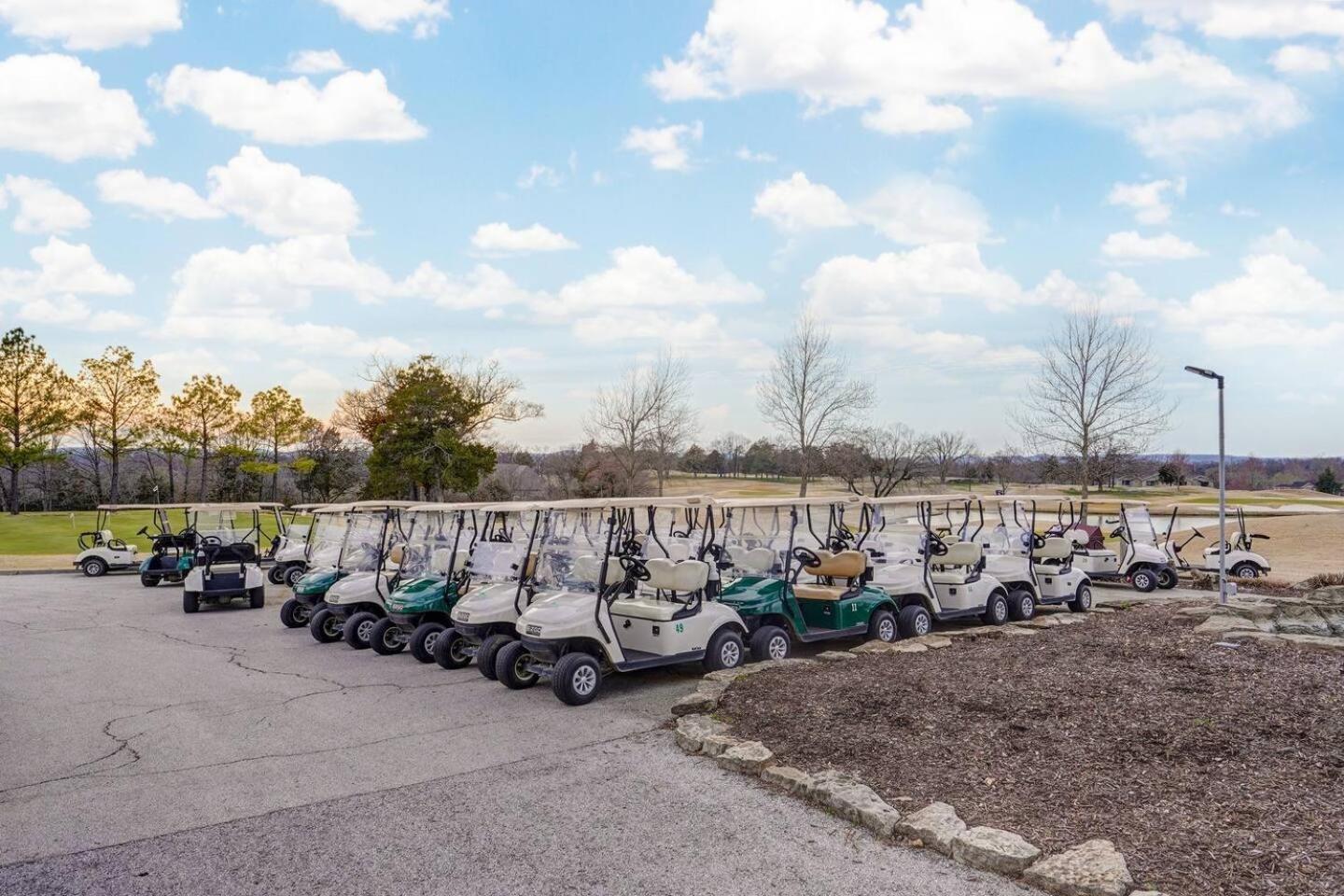 Retreat @ The Hills W/ Pets And Game Branson