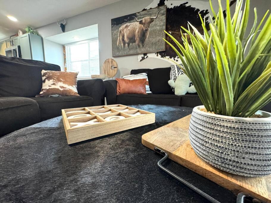 Apartment Modern Comfort: Updated Cozy In Indian Point Branson