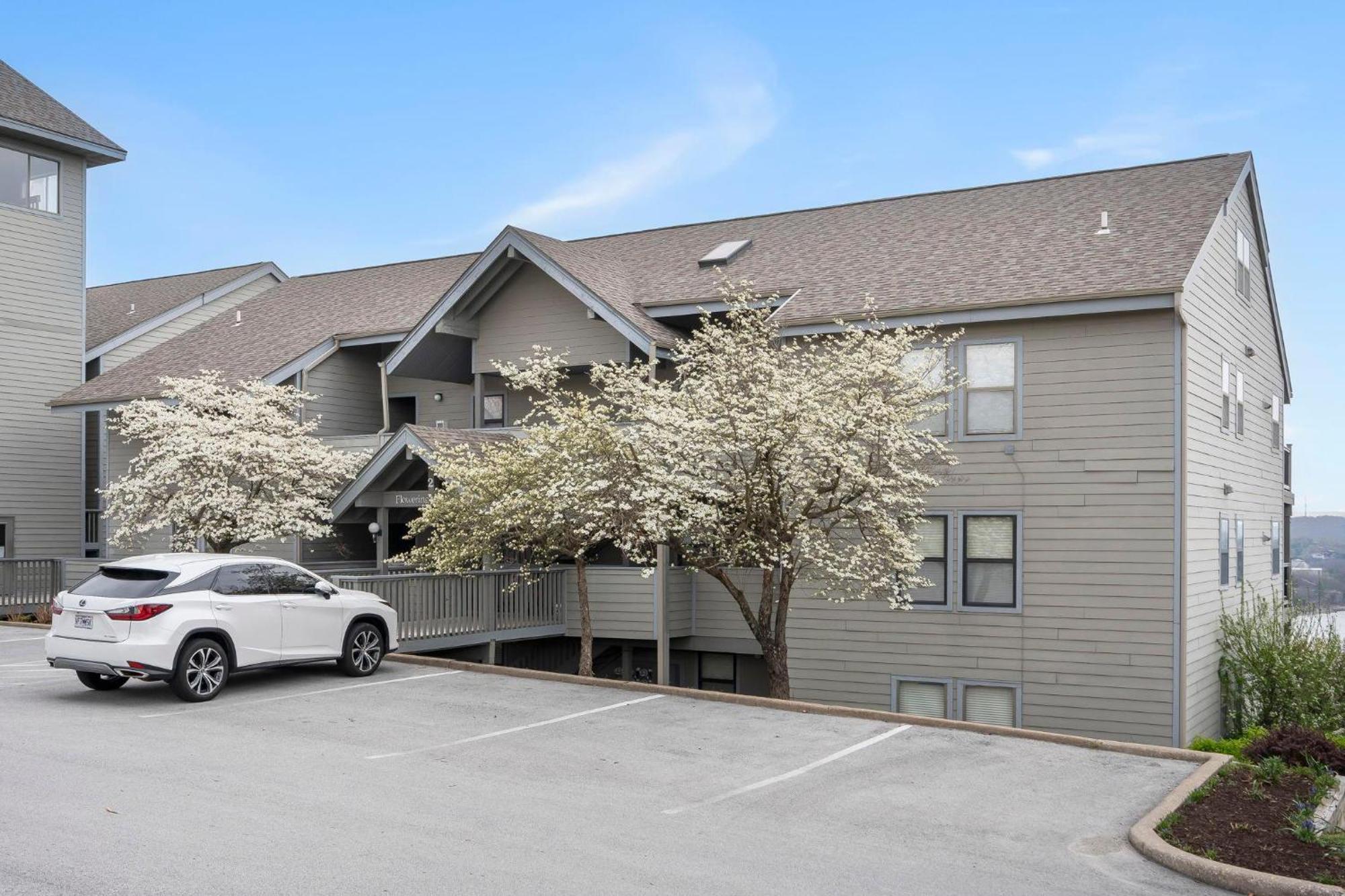 Flowering Dogwood -- 209 Branson