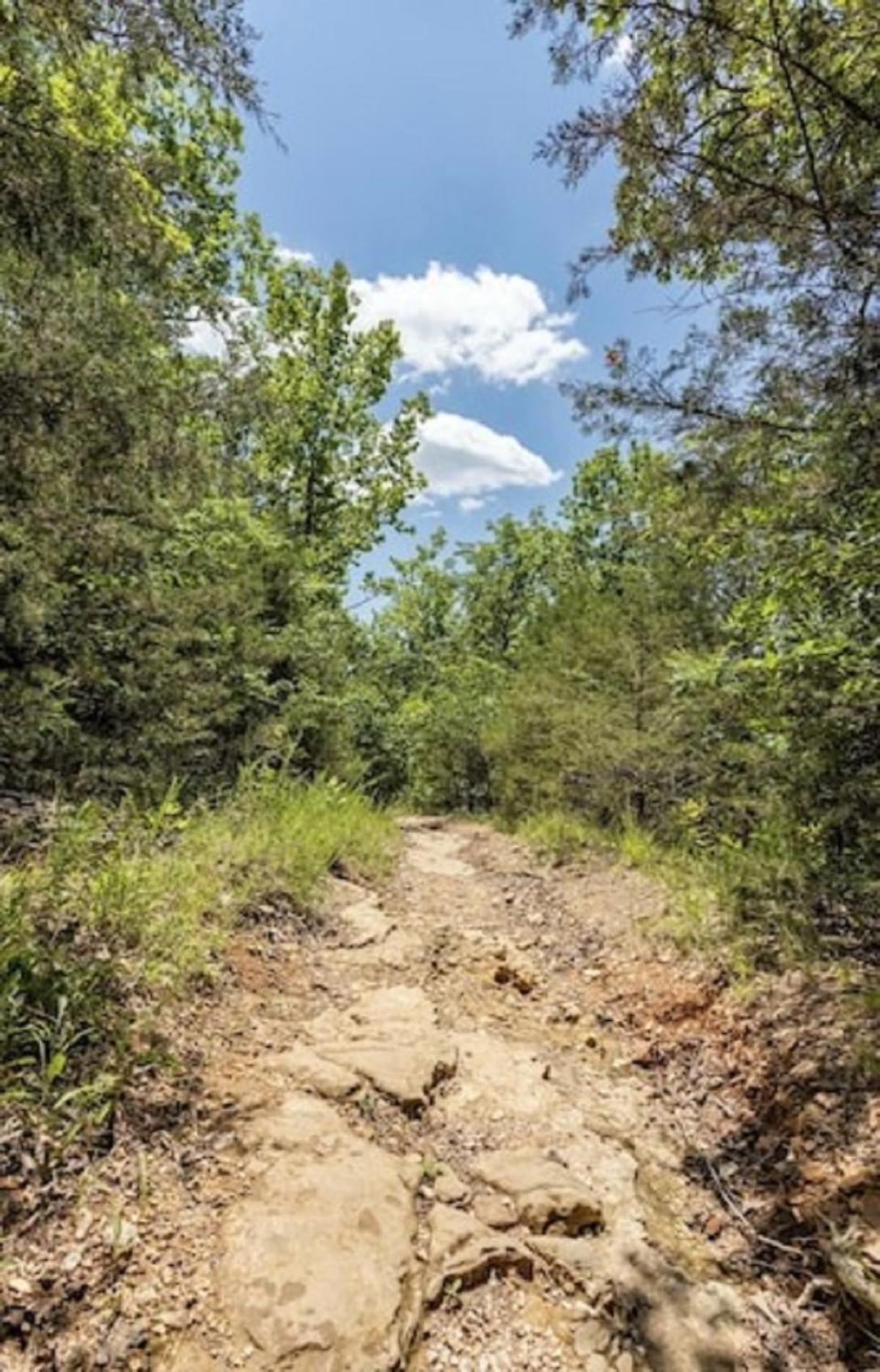 Beautiful Getaway-next To Silver Dollar &tablerock-family Amenities