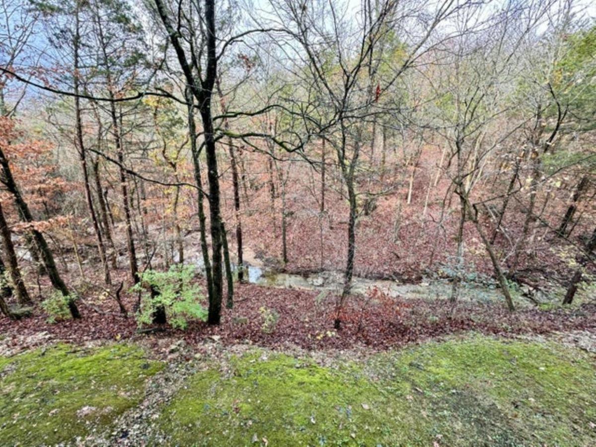 Apartment Luxurious At Hills - Beautifully Updated And Affordable - Family Amenities - No Steps Branson
