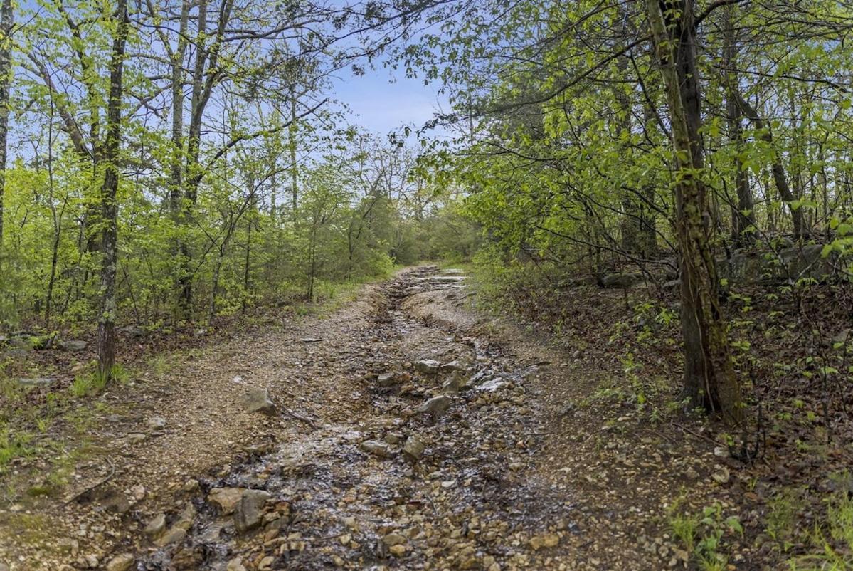 Spring Break Special! View, Sdc, No Stairs, 9-3 * Branson