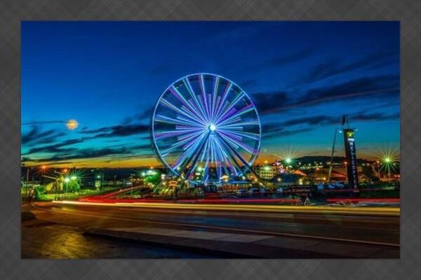 Apartment Spring Break Special! Between Strip & Sdc, 2901-6 Branson