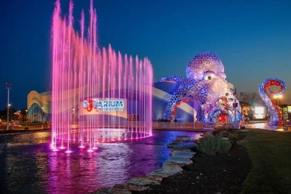 Spring Break Special! Near Attractions, Marina, 58-8