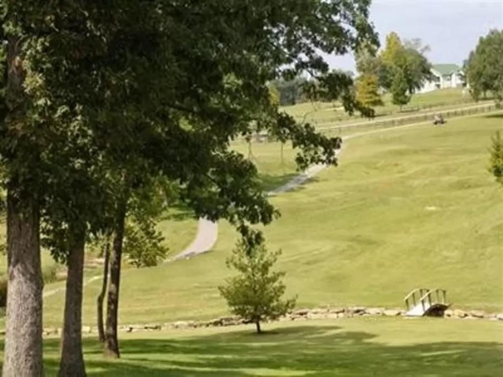 King At Holiday Hills