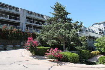 Treehouse Apartment Branson