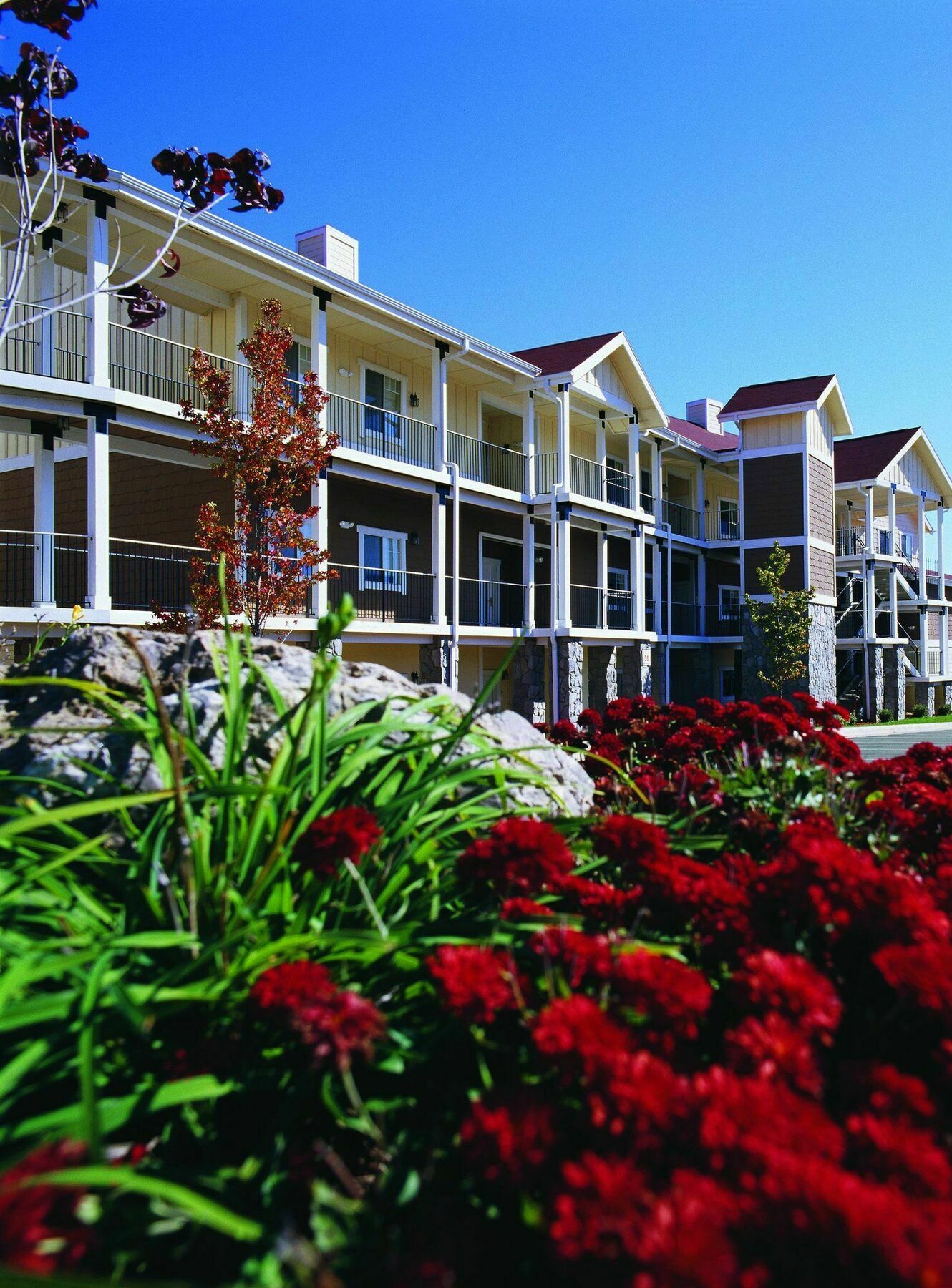Club Wyndham Mountain Vista