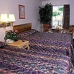 Surrey Inn