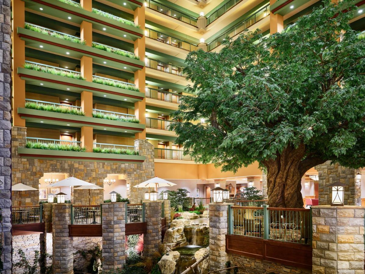 Chateau On The And Convention Center Resort Branson