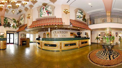 Clarion 3*