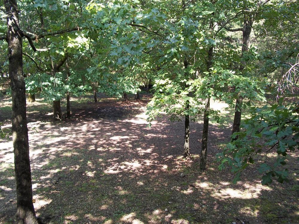 Golden Arrow Inn Branson