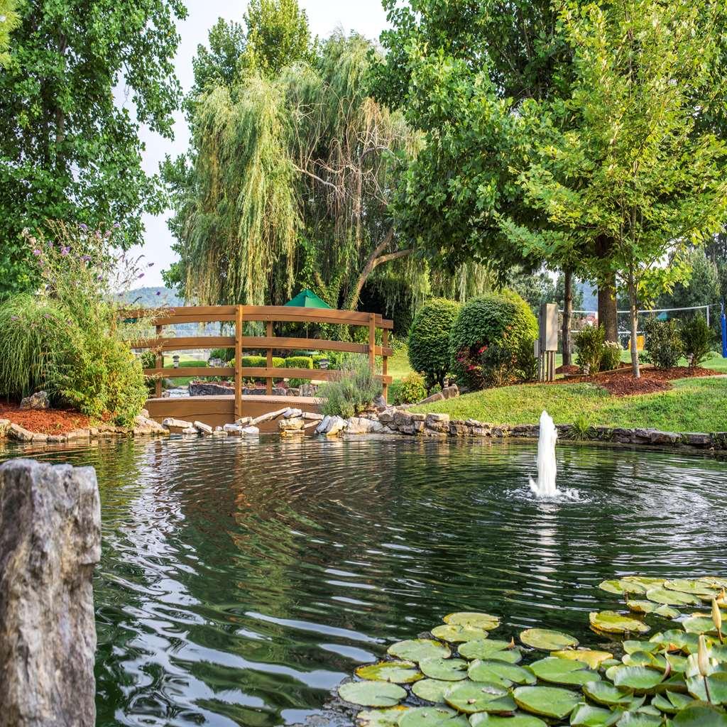 The At Fall Creek 3* Branson