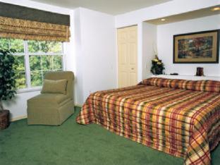 Resort Club Wyndham At The Falls 3*