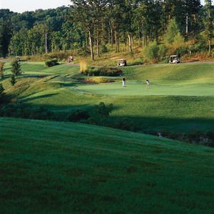 Club Wyndham At The Falls