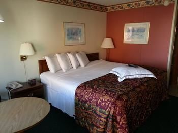 Oyo Windmill Hotel 2*