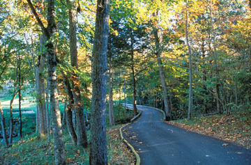 Club Wyndham At The Falls Resort 3*