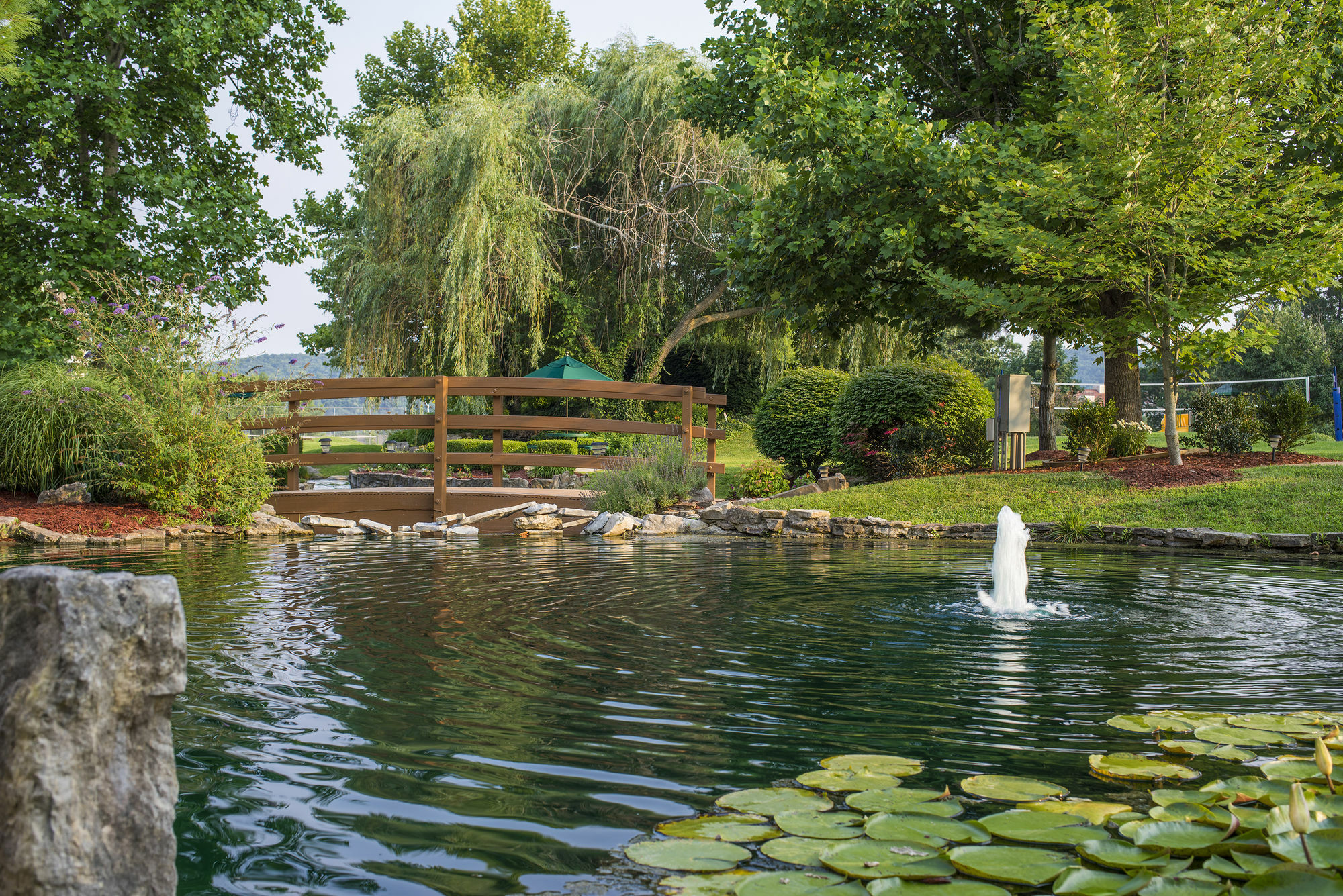 The At Fall Creek 3*